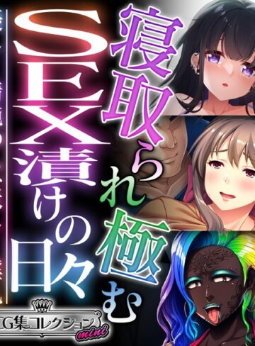 寝取られ極むSEX漬けの日々 〜優しく清純のち、妖しく淫乱〜【CG集コレクション ミニ】｜大人のSEXY絵本×単行本 評価
