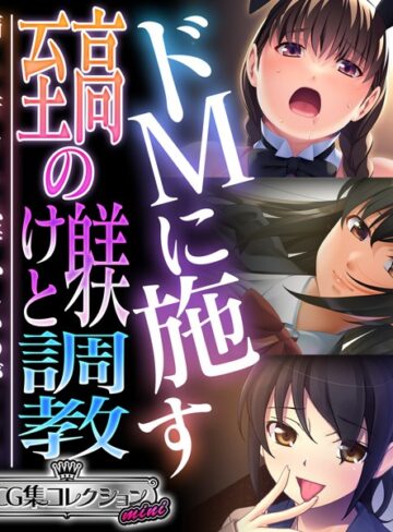 ドMに施す至高の躾けと調教 〜痛くて苦しくて恥ずかしいのがイイ！！〜【CG集コレクション ミニ】｜大人のSEXY絵本×単行本 評価