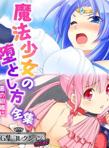 魔法少女の堕とし方全集 〜悪の組織に転身セックス〜 【CG集コレクション ミニ】｜大人のSEXY絵本×単行本 評価