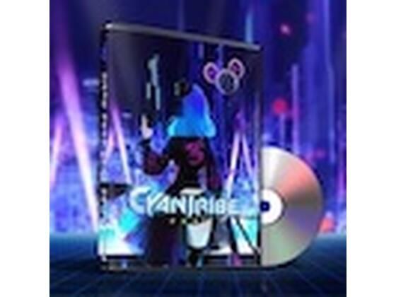 SOUND AIRYLUVS★【BGM素材】CYAN TRIBE 2097 Game Music[ファンタジー]